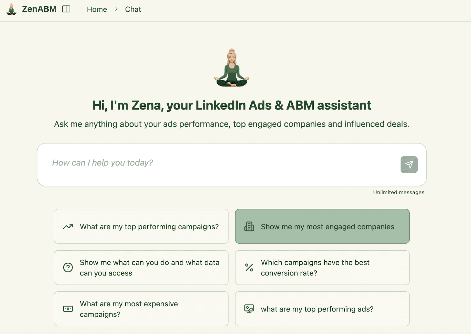 Zena AI Chatbot Interface